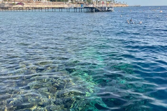 Hula Hula Island Tour