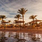 Beautiful romantic sunset over a sandy beach and palm trees. Egypt. Hurghada.