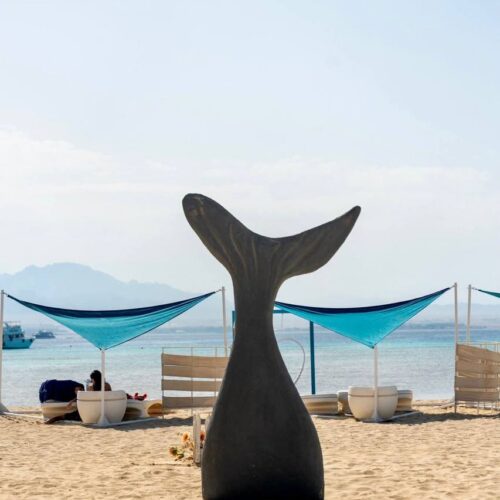 Bianca Island Hurghada beach